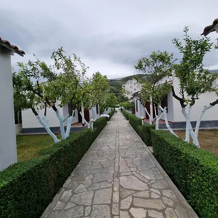 Vilat Shehu Official Vlorë